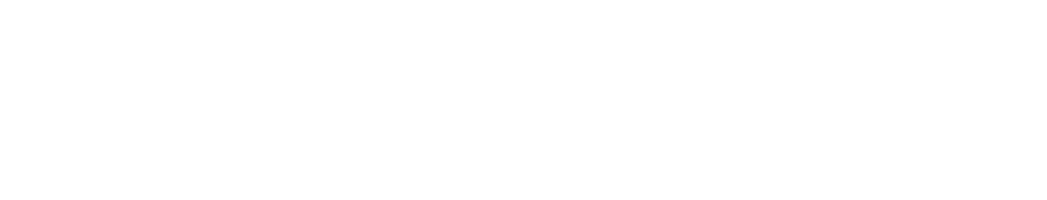 Bookiewise Logo