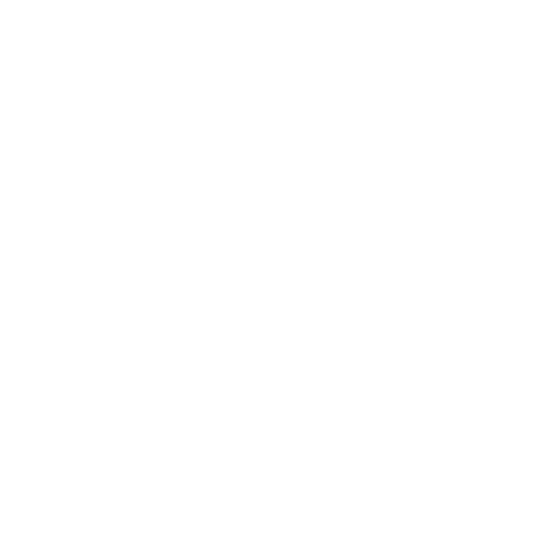 Bookiewise Logo